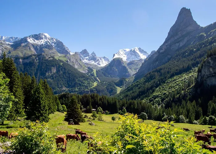 Les Airelles 3* Pralognan-la-Vanoise